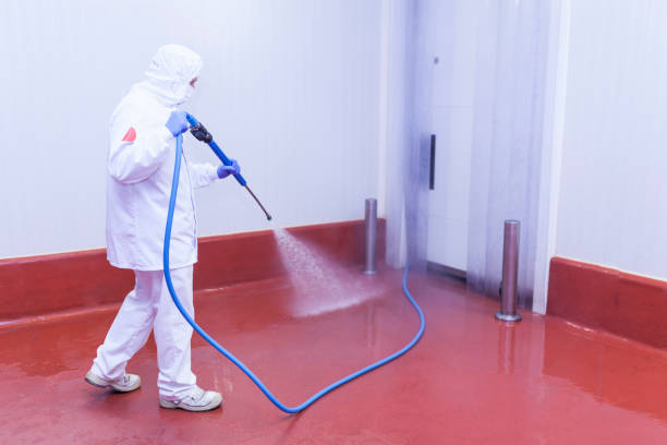 Best Sidewalk and Walkway Pressure Cleaning in Stanhope, NJ