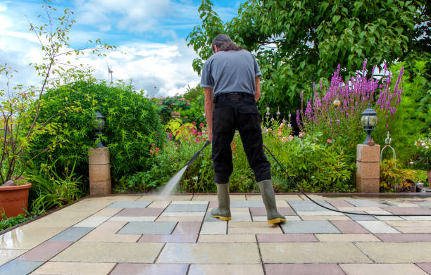 Best Driveway Cleaning and Restoration in Stanhope, NJ